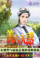 驯龙高手重回家园番外篇·归家