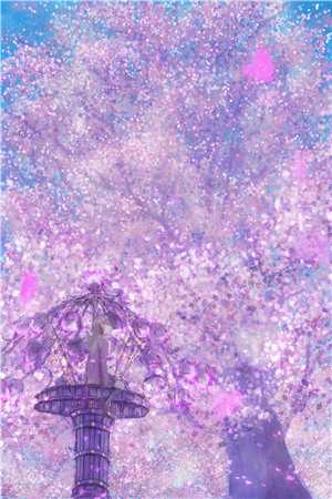 仓井 空