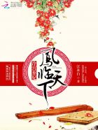 我和霸道总裁和我的365天