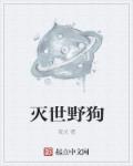 国产最爽的乱淫视频国语