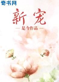 相泽南最经典作品