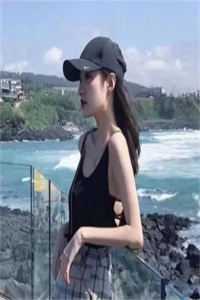 熊熊出没