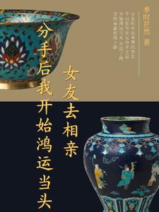 公憩系列t老扒