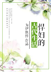 女系家族3动漫