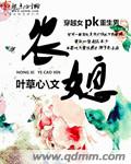 2024宜家视频原版domeinext