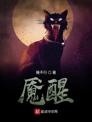 香蕉一区