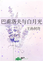 美妙人妇小说全文阅读