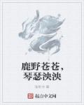 七仙女思想春在线观看