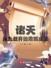 燃气壁挂炉