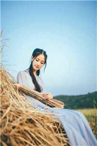 恰似寒光遇骄阳全文免费阅读
