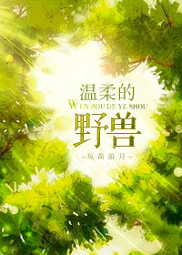 三十种B
