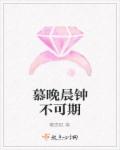 邪恶小说很污