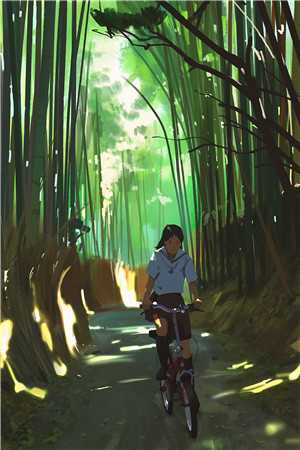 搜同2024新地址