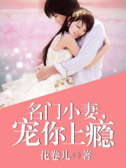 超级玛丽中文版