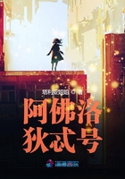 mega进化