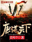 盗贼焦点嫁祸