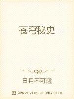 扶摇夫人烫核小说