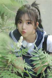 剑网3经脉