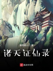 白夜行 小说
