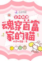 整篇都是车的推荐百合