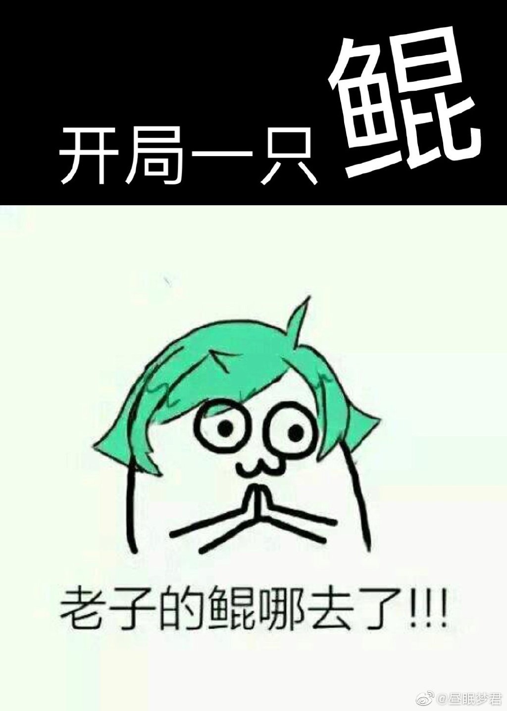 象人族女殖器官