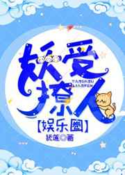 ibm是一家什么公司