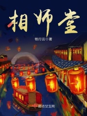炮网