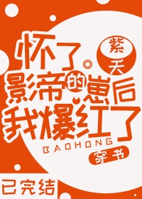 帝少追缉:夫人她马甲又炸了