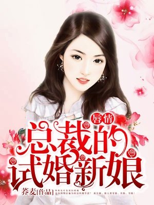 数码暴龙2