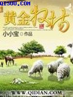 npy33视频高清在线观看