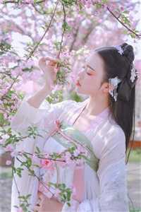 男女车车好快的车车