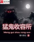 北极星vp加速器