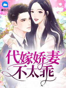 ccleaner中文版