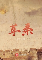 国产21页