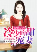 战爷晚安