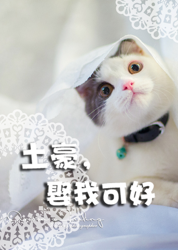 妻夫木聪电影