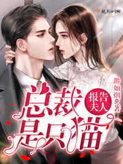 我的美女总裁老婆杨辰正版