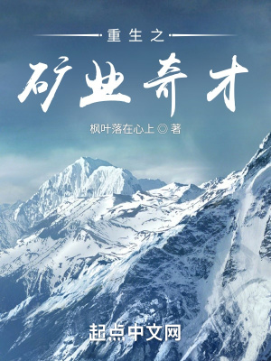 白领情缘