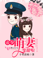 k频道vip视频免费观看