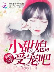 龙与虎小说
