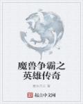 风筝 影子