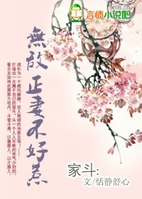 正人君子txt