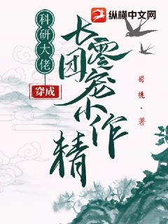 西瓜伦理