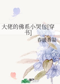 网红刘婷完整版播放