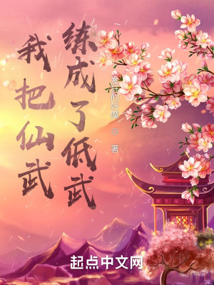 电视连续剧一级追杀令