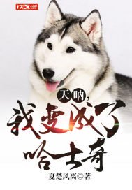 91tv澳洲华人
