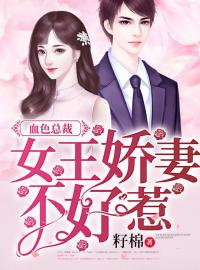 中国制造小说
