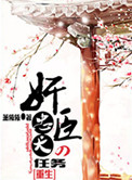 追龙2在线完整版观看