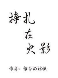 一级日韩片
