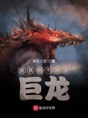 青丘狐传说演员表